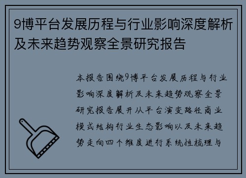 9博平台发展历程与行业影响深度解析及未来趋势观察全景研究报告